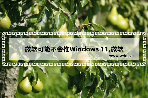 微软可能不会推Windows 11,微软抛弃windows