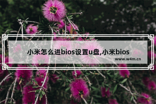 小米怎么进bios设置u盘,小米bios设置启动硬盘