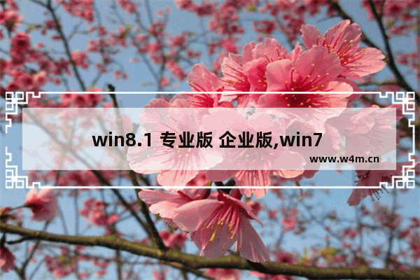 win8.1 专业版 企业版,win7 32位专业版