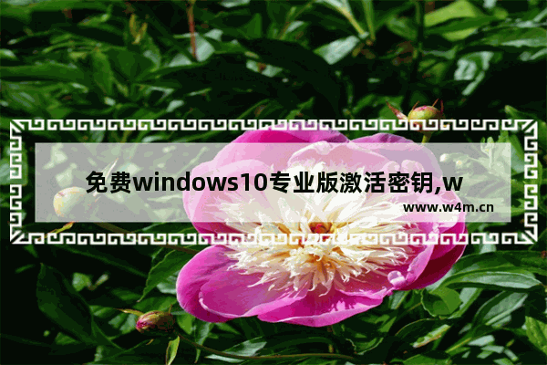 免费windows10专业版激活密钥,win10正版永久激活密钥