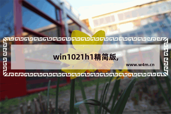 win1021h1精简版,