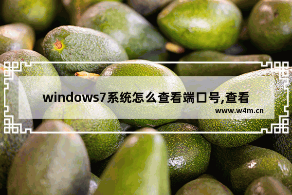 windows7系统怎么查看端口号,查看打开的端口号