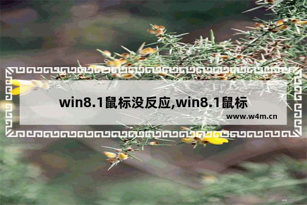 win8.1鼠标没反应,win8.1鼠标光标不见了