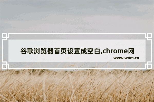 谷歌浏览器首页设置成空白,chrome网页空白