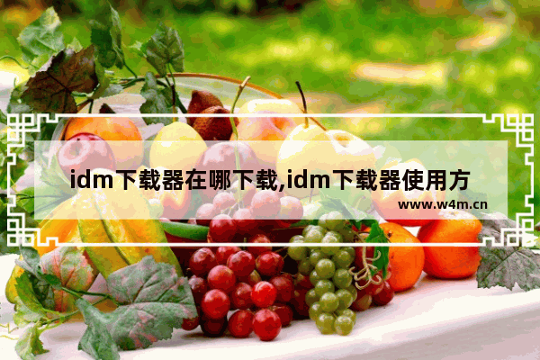 idm下载器在哪下载,idm下载器使用方法