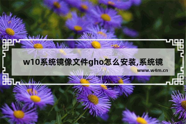 w10系统镜像文件gho怎么安装,系统镜像gho怎么下载到u盘