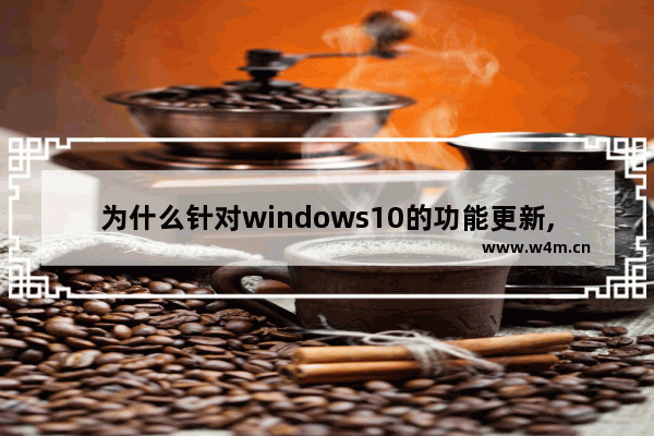 为什么针对windows10的功能更新,win10更新服务是哪个