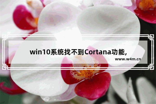 win10系统找不到Cortana功能,win10cortana无法使用