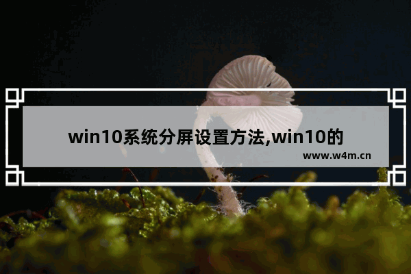 win10系统分屏设置方法,win10的分屏操作技巧