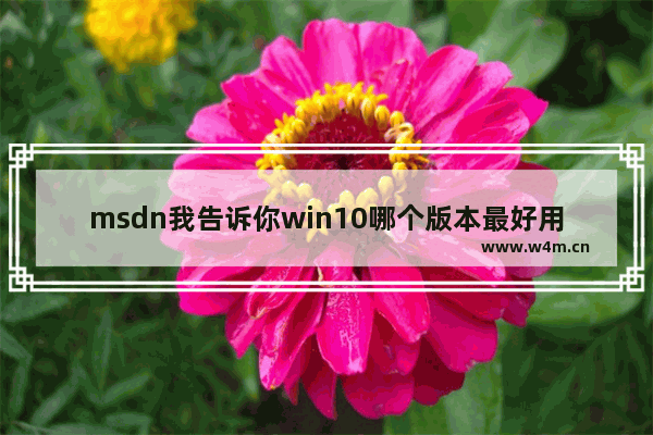 msdn我告诉你win10哪个版本最好用,msnd怎么下载