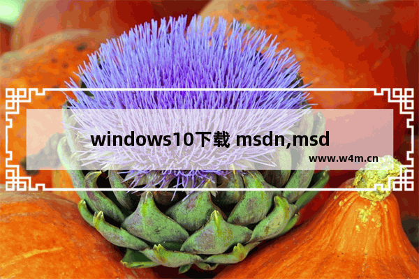 windows10下载 msdn,msdnwin10最新版