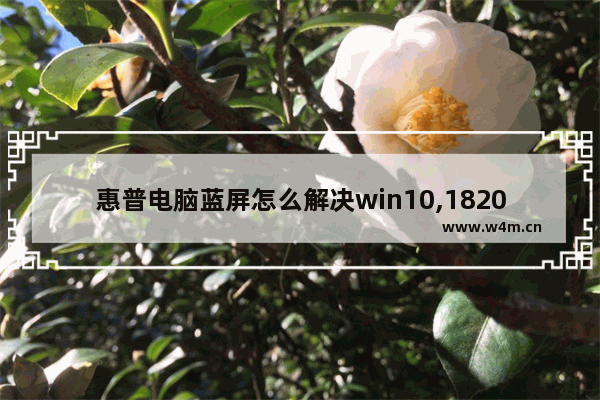 惠普电脑蓝屏怎么解决win10,1820a win10蓝屏