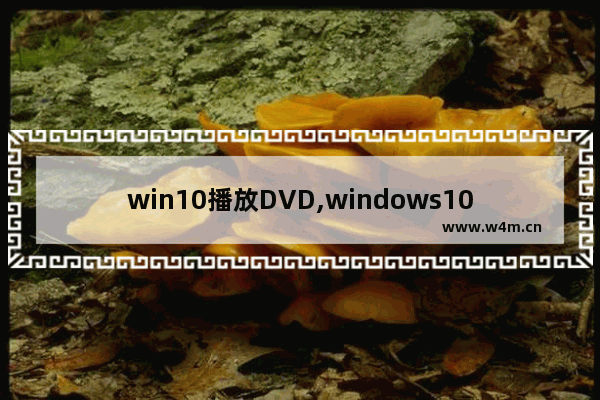 win10播放DVD,windows10怎么播放dvd