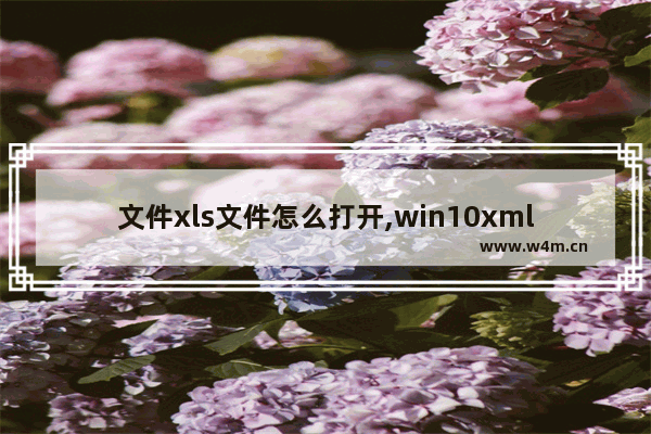 文件xls文件怎么打开,win10xml文件怎么打开