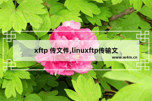 xftp 传文件,linuxftp传输文件