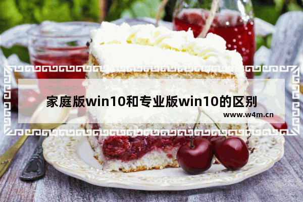 家庭版win10和专业版win10的区别,win10专业版和家庭版有啥区别