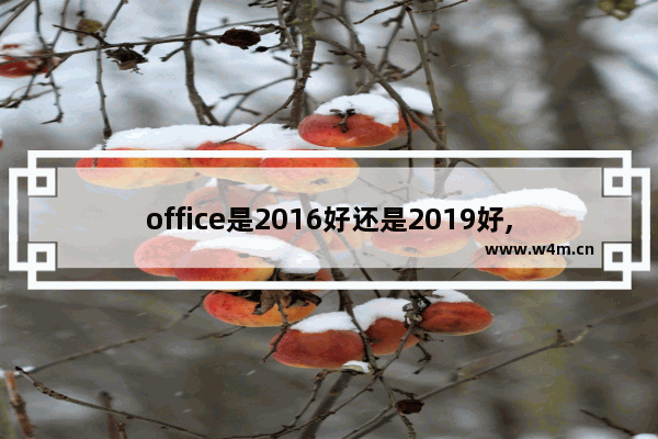 office是2016好还是2019好,office2016和office2019有啥区别