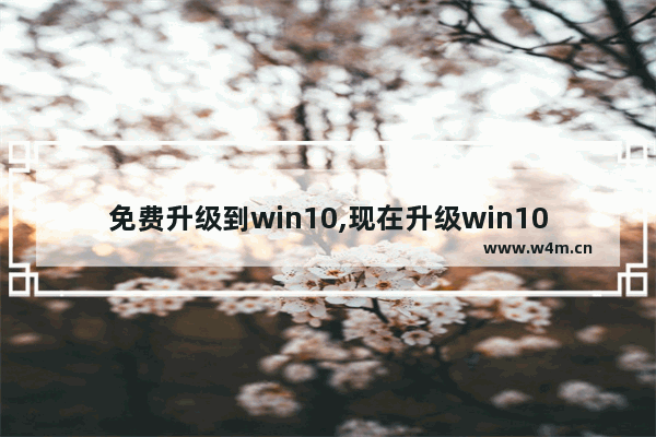 免费升级到win10,现在升级win10免费吗