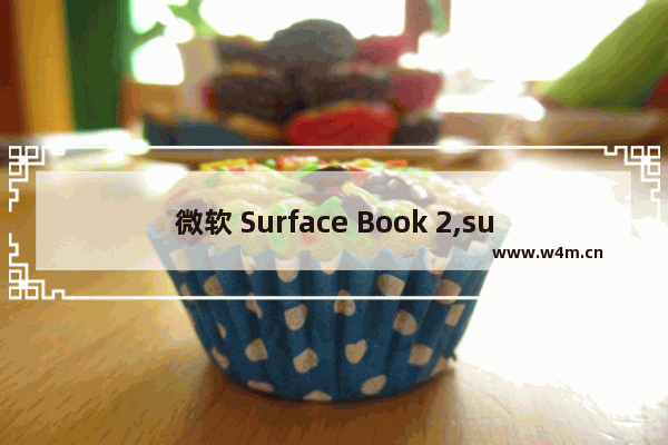 微软 Surface Book 2,surface阅读器