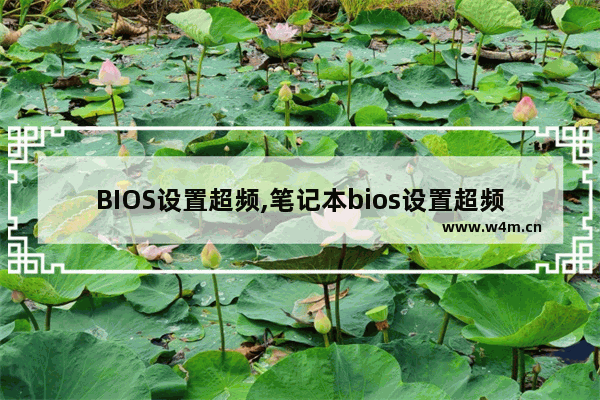 BIOS设置超频,笔记本bios设置超频的详细教程