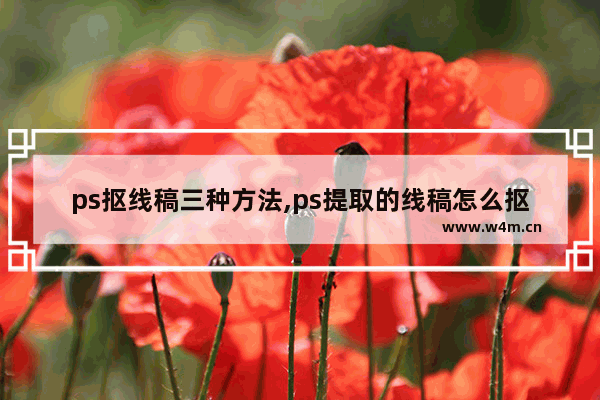 ps抠线稿三种方法,ps提取的线稿怎么抠出来