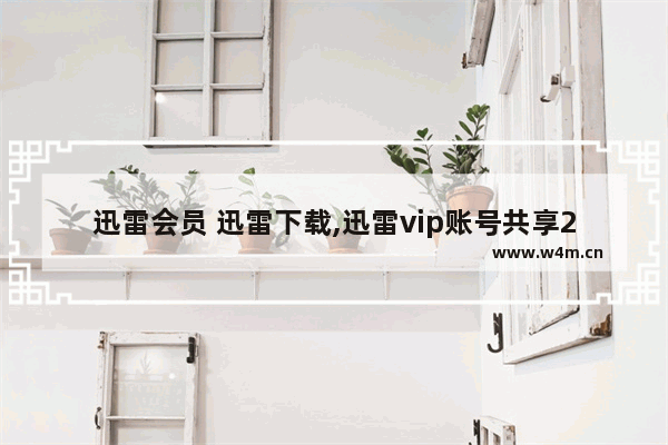 迅雷会员 迅雷下载,迅雷vip账号共享2019最新