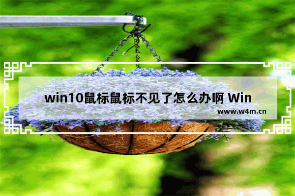 win10鼠标鼠标不见了怎么办啊 Win10鼠标消失怎么办