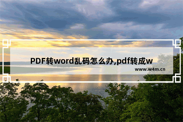 PDF转word乱码怎么办,pdf转成word后乱码怎么办