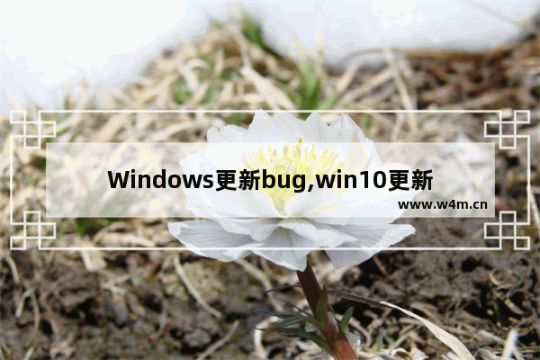 Windows更新bug,win10更新出现bug