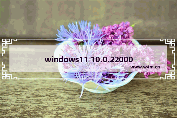 windows11 10.0.22000.120,windows 11新功能