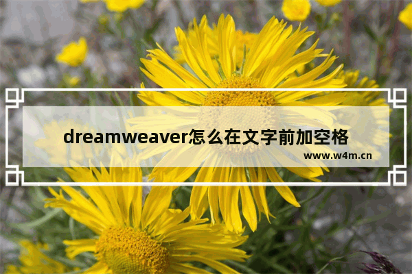 dreamweaver怎么在文字前加空格,dreamweaver段落设置