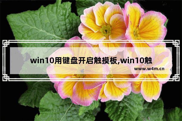 win10用键盘开启触摸板,win10触摸屏怎么调出键盘