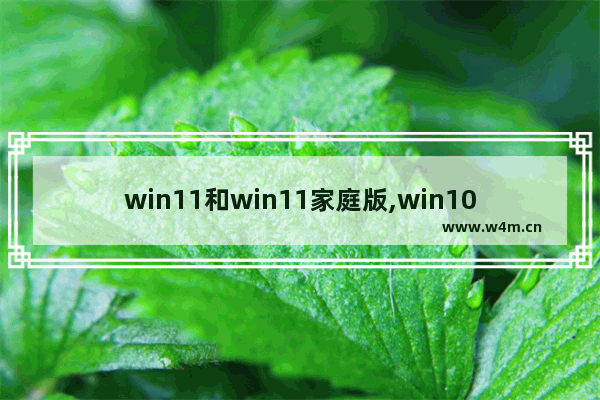 win11和win11家庭版,win10家庭版升win11专业版