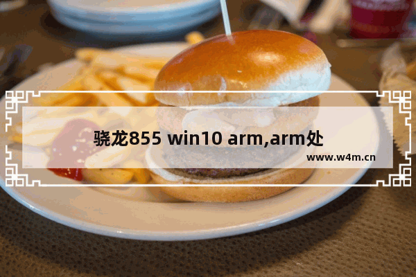 骁龙855 win10 arm,arm处理器win10