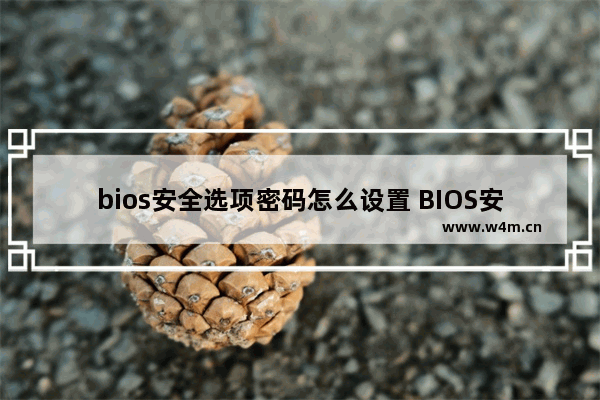 bios安全选项密码怎么设置 BIOS安全选项密码设置方法