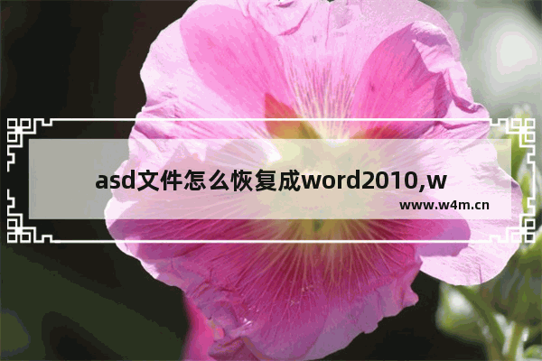 asd文件怎么恢复成word2010,word asd文件恢复