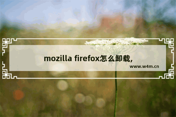 mozilla firefox怎么卸载,怎样卸载firefox