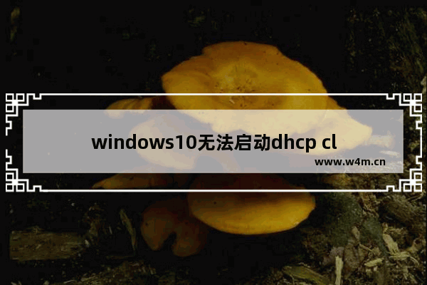 windows10无法启动dhcp client服务,windows无法启动dhcp服务