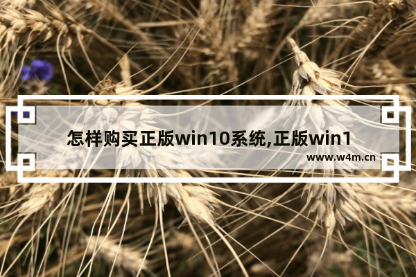 怎样购买正版win10系统,正版win10哪里买