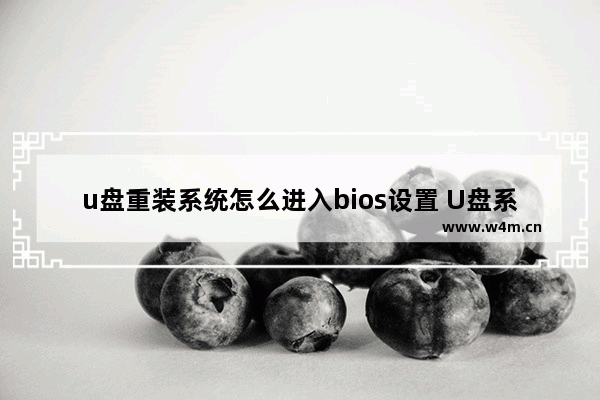 u盘重装系统怎么进入bios设置 U盘系统重装需如何进入BIOS？