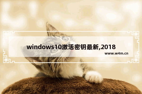 windows10激活密钥最新,2018最新win10专业版永久激活密钥