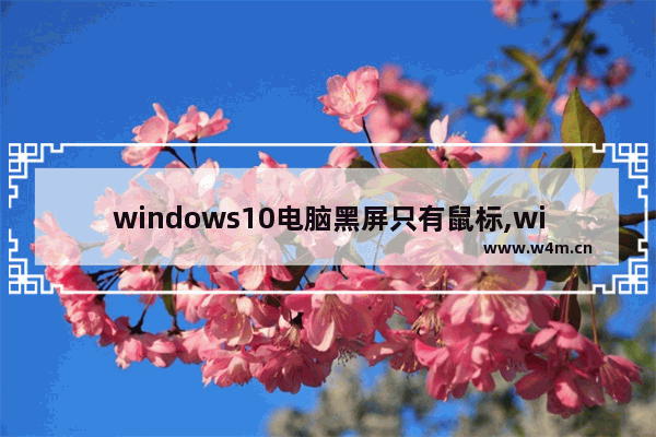 windows10电脑黑屏只有鼠标,windows10光标消失了