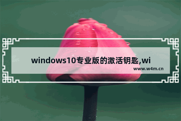 windows10专业版的激活钥匙,win10专业版激活密钥