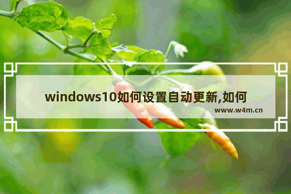 windows10如何设置自动更新,如何设置Windows10操作系统自动更新