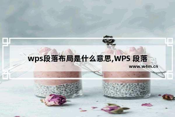 wps段落布局是什么意思,WPS 段落