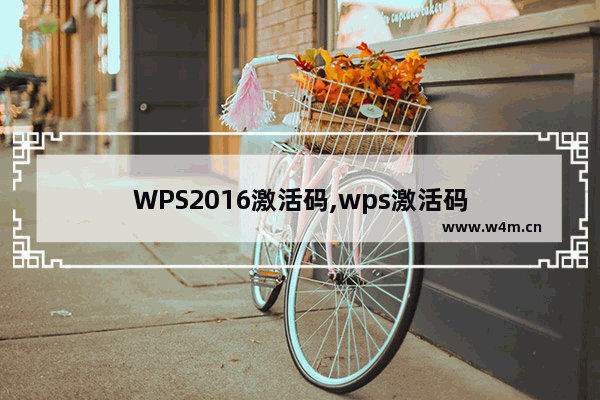 WPS2016激活码,wps激活码