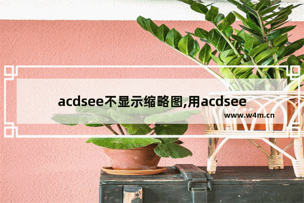 acdsee不显示缩略图,用acdsee调整图片大小的步骤