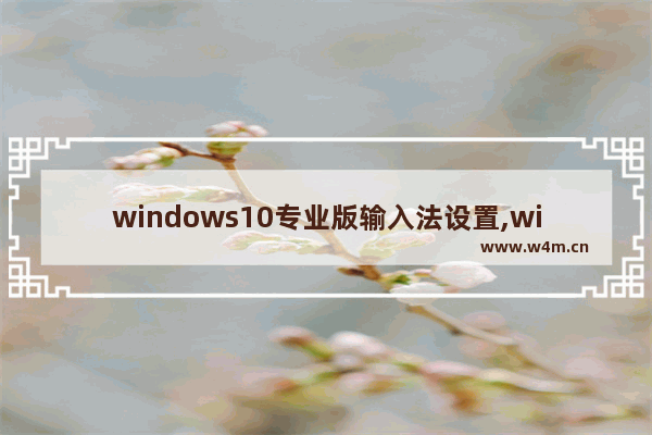 windows10专业版输入法设置,win10输入法调整