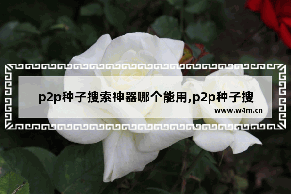 p2p种子搜索神器哪个能用,p2p种子搜索神器怎么用,需要什么