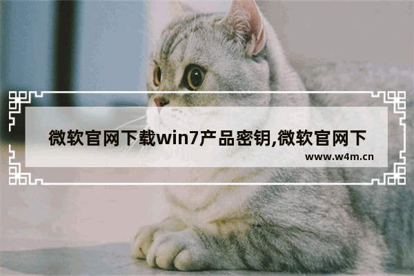 微软官网下载win7产品密钥,微软官网下载win7要激活码